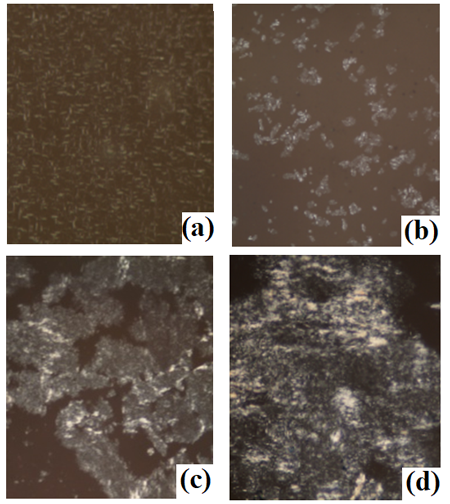 medium/medium-GYA-72-01-e388-gf2.png