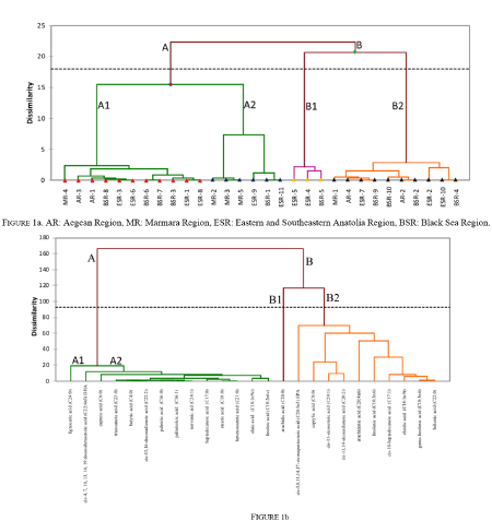 medium/medium-GYA-72-01-e389-gf1.png