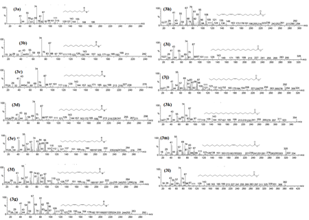 medium/medium-GYA-72-01-e393-gf3.png
