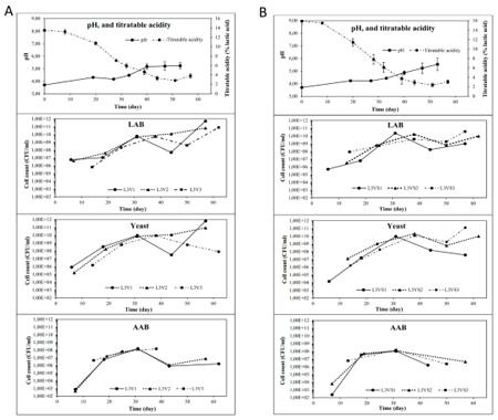 medium/medium-GYA-72-02-e407-gf5.png