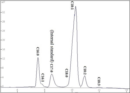 medium/medium-GYA-72-03-e417-gf1.png