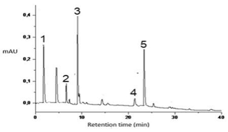 medium/medium-GYA-73-01-e440-gf1.png