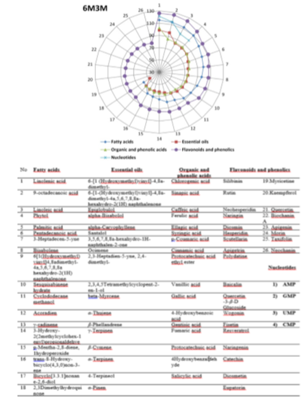 medium/medium-GYA-73-01-e450-gf3.png