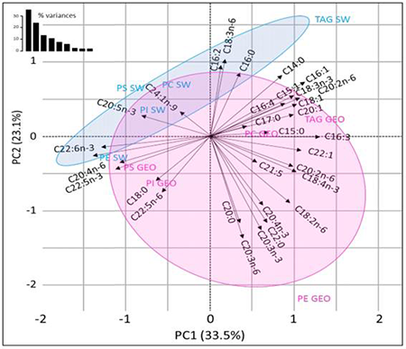 medium/medium-GYA-73-01-e448-gf2.png