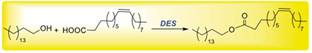 medium/medium-GYA-73-01-e444-gf1.png