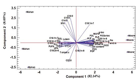 medium/medium-GYA-73-03-e468-gf1.png