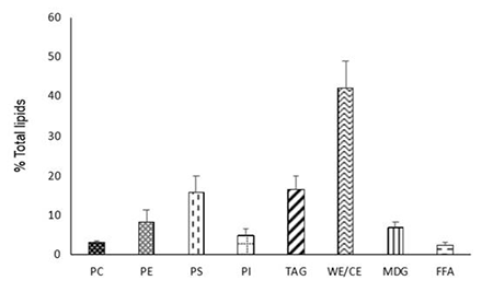 medium/medium-GYA-73-03-e469-gf2.png