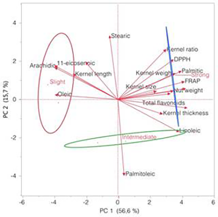 medium/medium-GYA-74-01-e487-gf3.png
