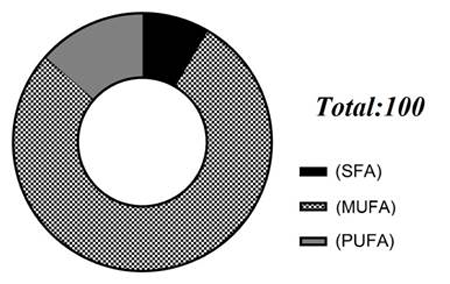medium/medium-GYA-74-02-e506-gf1.png