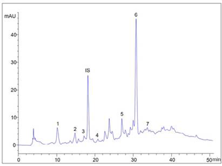 medium/medium-GYA-74-02-e505-gf1.png