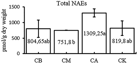 medium/medium-GyA-75-4-2049-gf1.png