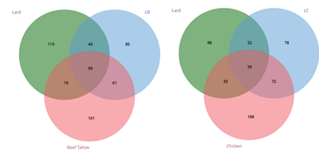 medium/medium-GYA-74-03-e512-gf3.png