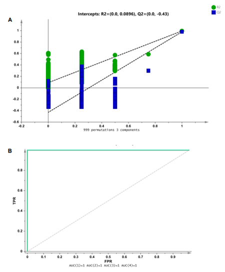 medium/medium-GYA-74-03-e512-gf5.png