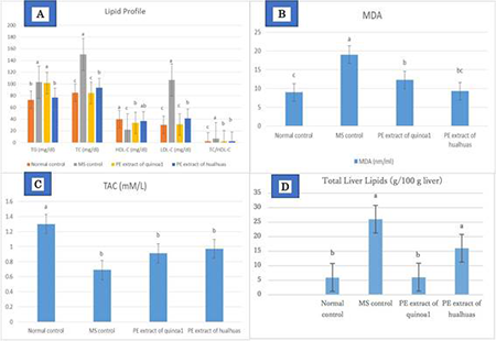 medium/medium-GYA-75-01-e542-gf2.png